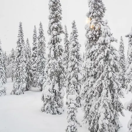 Rukan Lepolinna A By Interhome